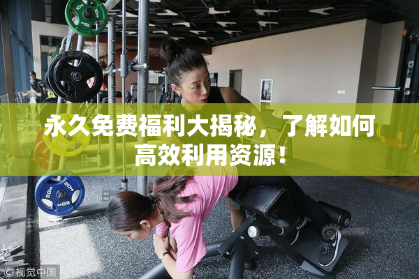 永久免费福利大揭秘，了解如何高效利用资源！