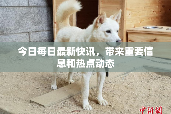 今日每日最新快讯，带来重要信息和热点动态