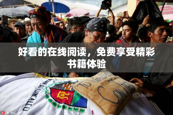 好看的在线阅读，免费享受精彩书籍体验