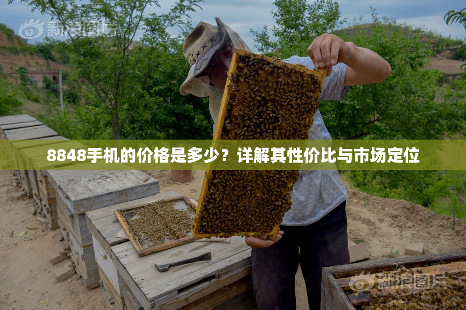 8848手机的价格是多少？详解其性价比与市场定位