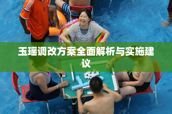玉瑶调改方案全面解析与实施建议