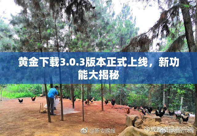 黄金下载3.0.3版本正式上线，新功能大揭秘