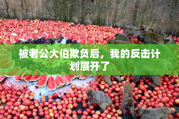 被老公大伯欺负后，我的反击计划展开了