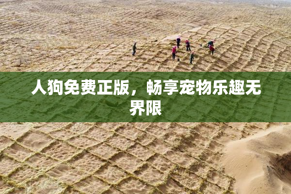 人狗免费正版，畅享宠物乐趣无界限