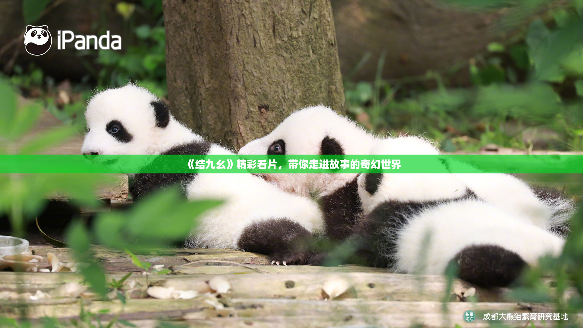 《结九幺》精彩看片，带你走进故事的奇幻世界