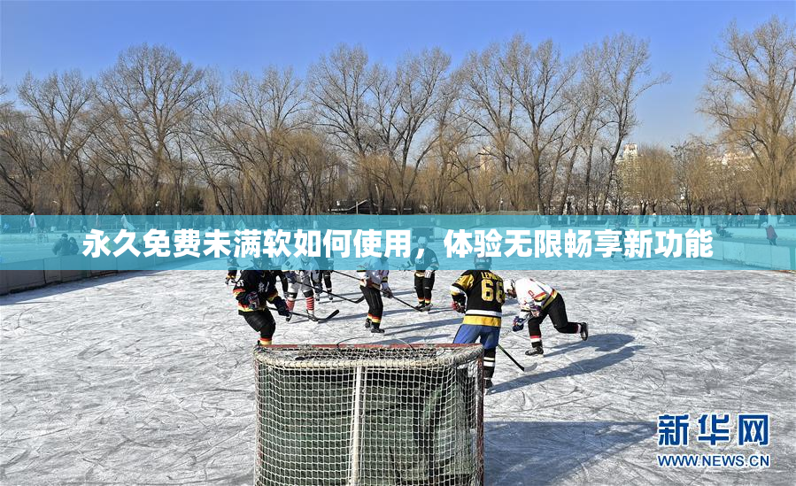 永久免费未满软如何使用，体验无限畅享新功能