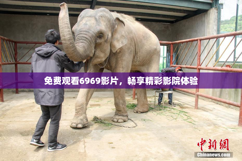 免费观看6969影片，畅享精彩影院体验