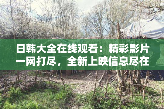 日韩大全在线观看：精彩影片一网打尽，全新上映信息尽在掌握！