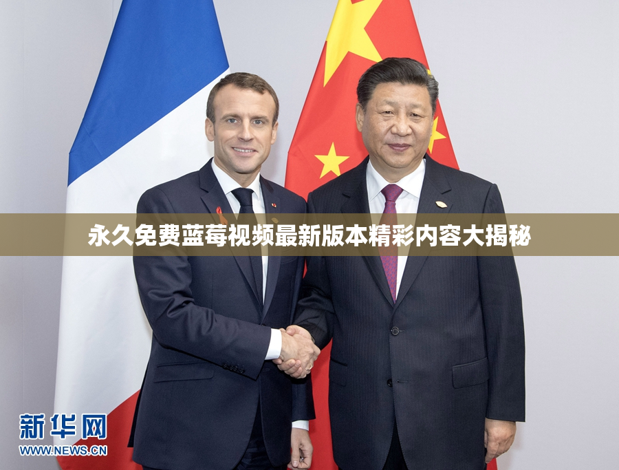 永久免费蓝莓视频最新版本精彩内容大揭秘