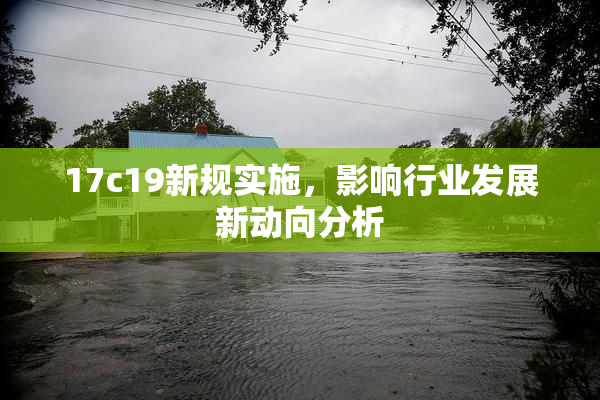 17c19新规实施，影响行业发展新动向分析
