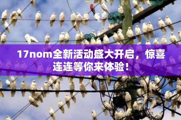 17nom全新活动盛大开启，惊喜连连等你来体验！
