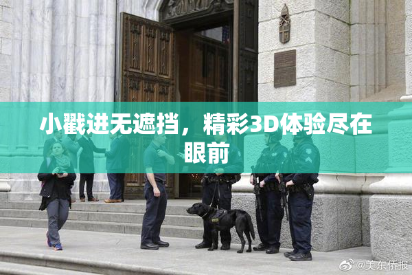 小戳进无遮挡，精彩3D体验尽在眼前