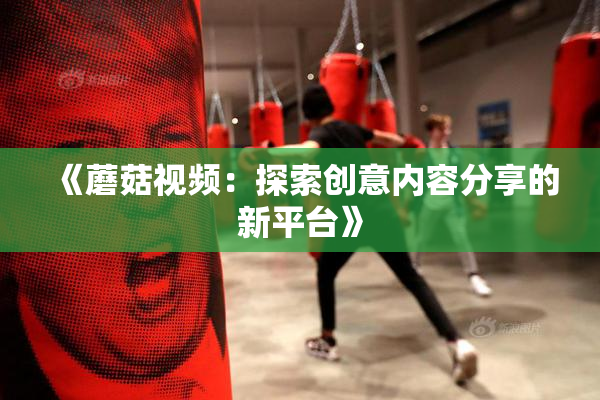 《蘑菇视频：探索创意内容分享的新平台》