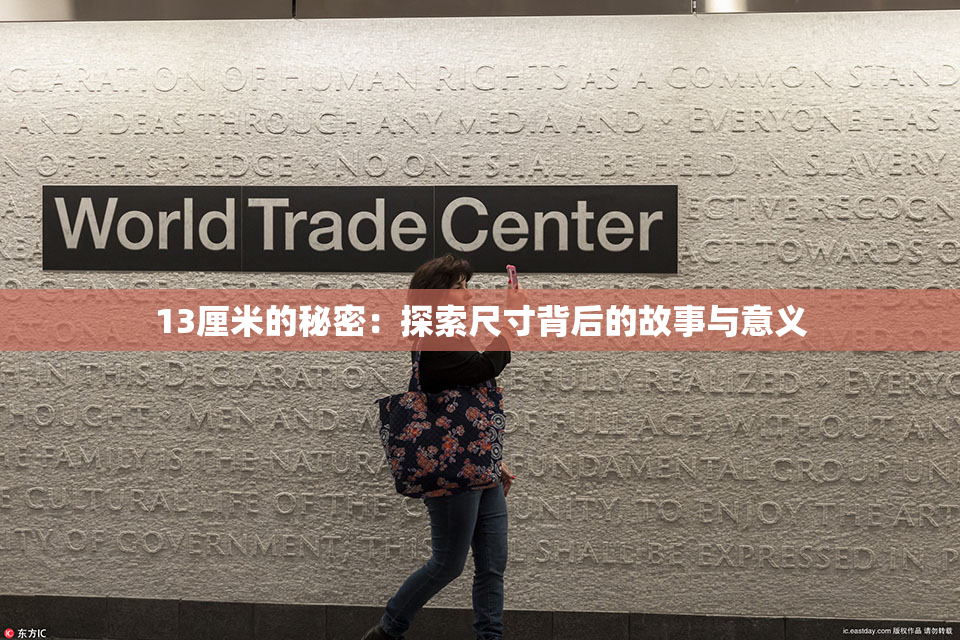 13厘米的秘密：探索尺寸背后的故事与意义