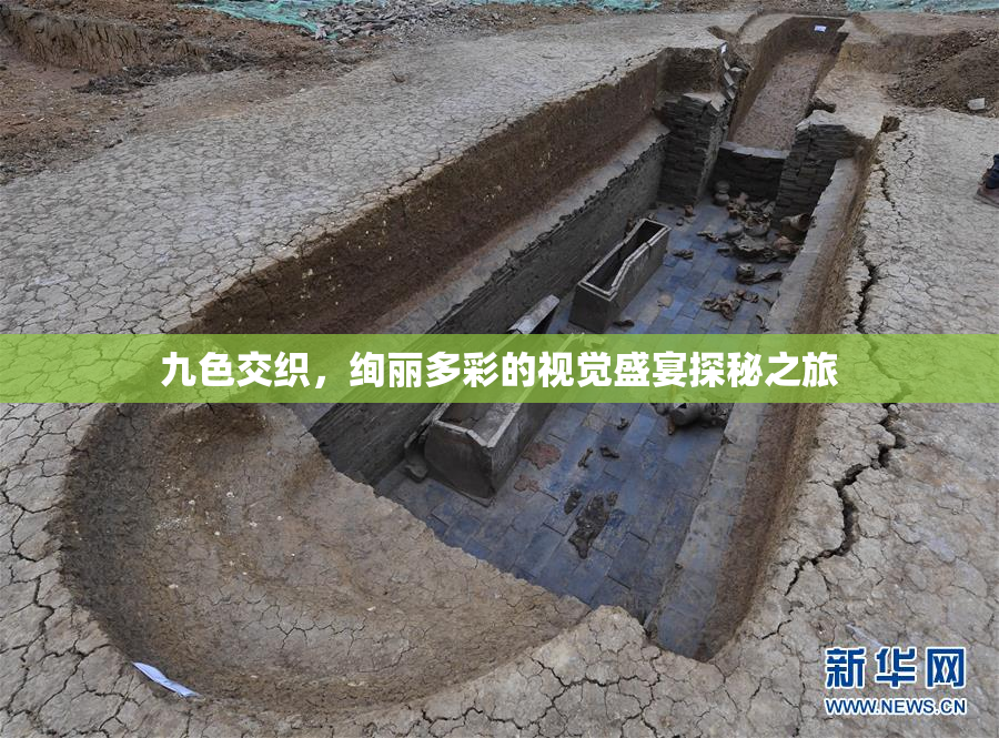 九色交织，绚丽多彩的视觉盛宴探秘之旅