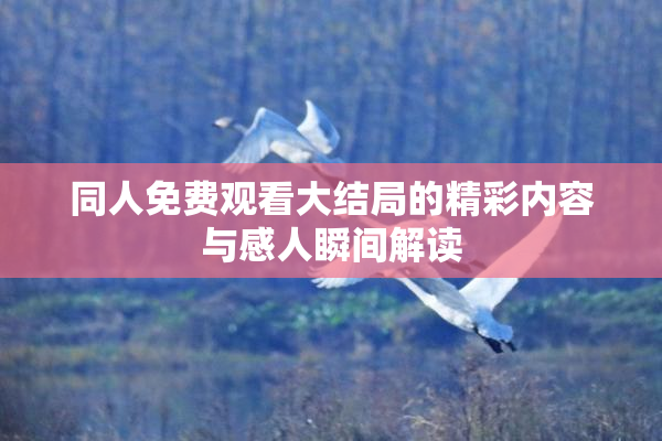 同人免费观看大结局的精彩内容与感人瞬间解读