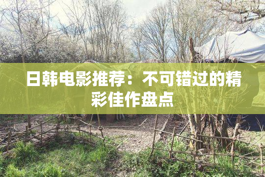 日韩电影推荐：不可错过的精彩佳作盘点