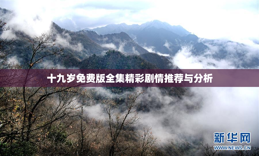 十九岁免费版全集精彩剧情推荐与分析