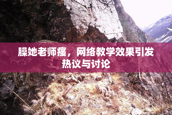 臊她老师瘙，网络教学效果引发热议与讨论