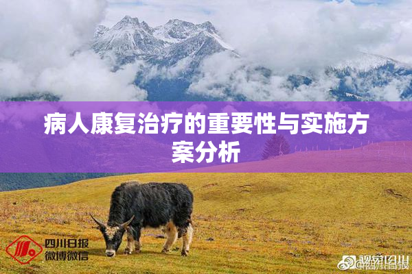 病人康复治疗的重要性与实施方案分析