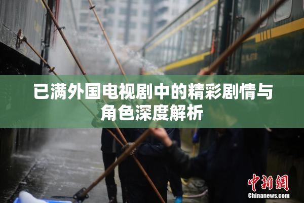 已满外国电视剧中的精彩剧情与角色深度解析