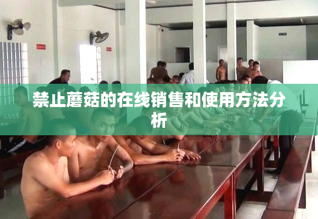 禁止蘑菇的在线销售和使用方法分析