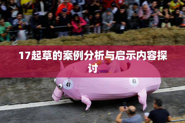 17起草的案例分析与启示内容探讨