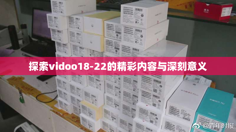 探索vidoo18-22的精彩内容与深刻意义