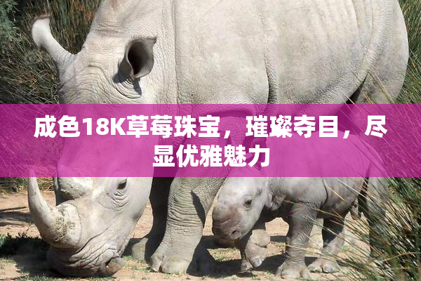 成色18K草莓珠宝，璀璨夺目，尽显优雅魅力