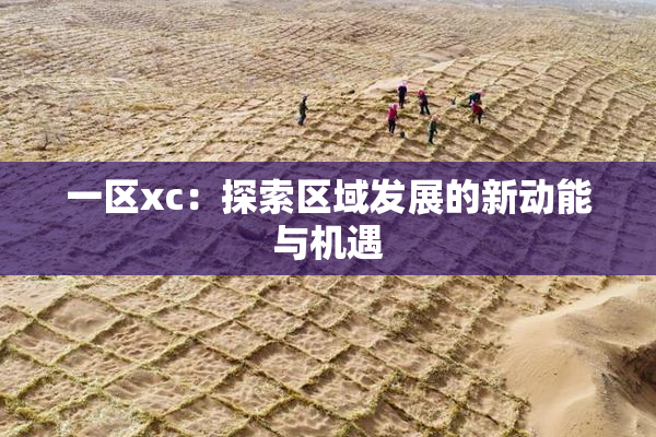 一区xc：探索区域发展的新动能与机遇