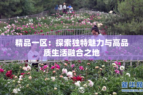 精品一区：探索独特魅力与高品质生活融合之地