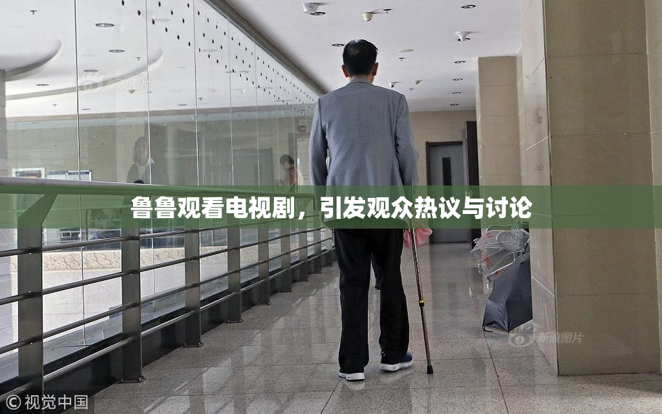 鲁鲁观看电视剧，引发观众热议与讨论