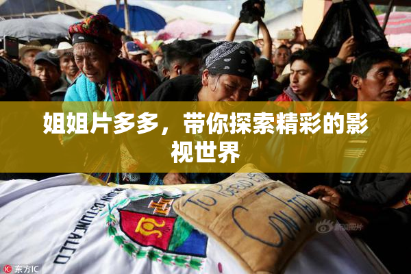 姐姐片多多，带你探索精彩的影视世界