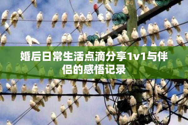 婚后日常生活点滴分享1v1与伴侣的感悟记录