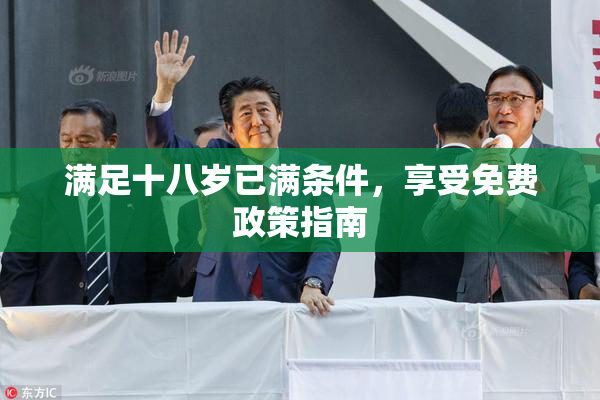 满足十八岁已满条件，享受免费政策指南