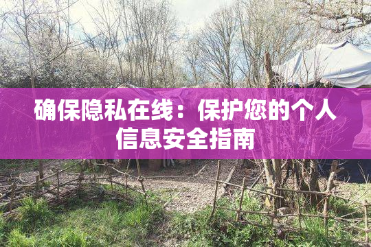 确保隐私在线：保护您的个人信息安全指南