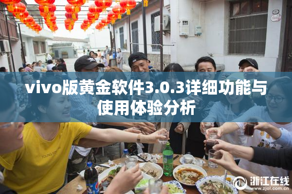 vivo版黄金软件3.0.3详细功能与使用体验分析