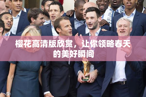 樱花高清版欣赏，让你领略春天的美好瞬间