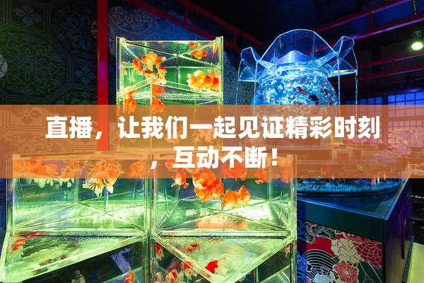 直播，让我们一起见证精彩时刻，互动不断！