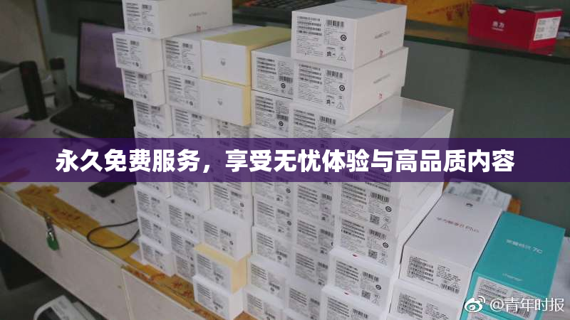 永久免费服务，享受无忧体验与高品质内容