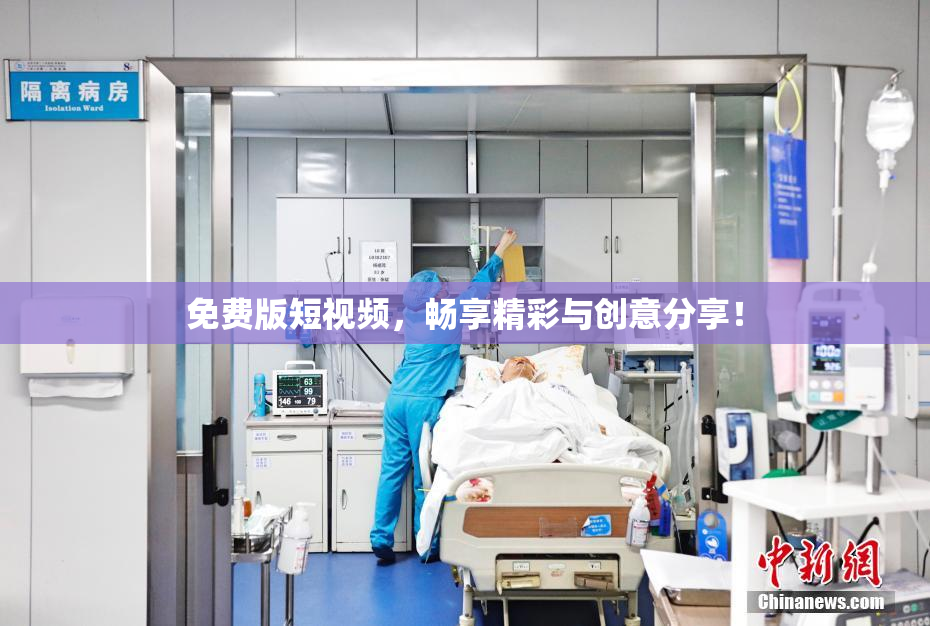 免费版短视频，畅享精彩与创意分享！