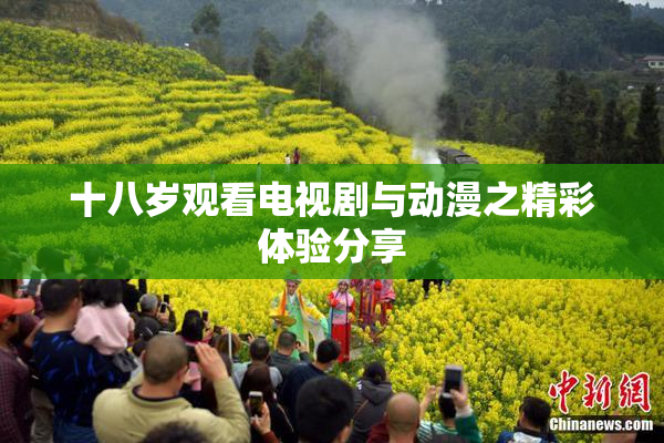 十八岁观看电视剧与动漫之精彩体验分享