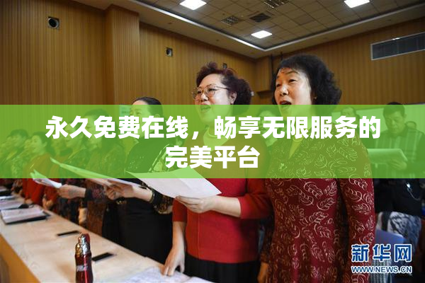 永久免费在线，畅享无限服务的完美平台