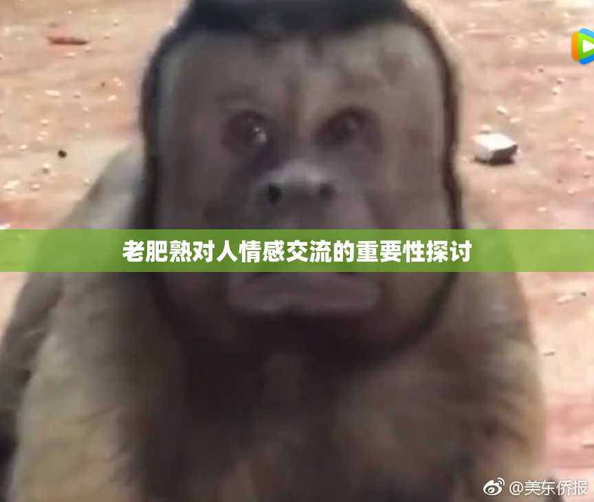 老肥熟对人情感交流的重要性探讨