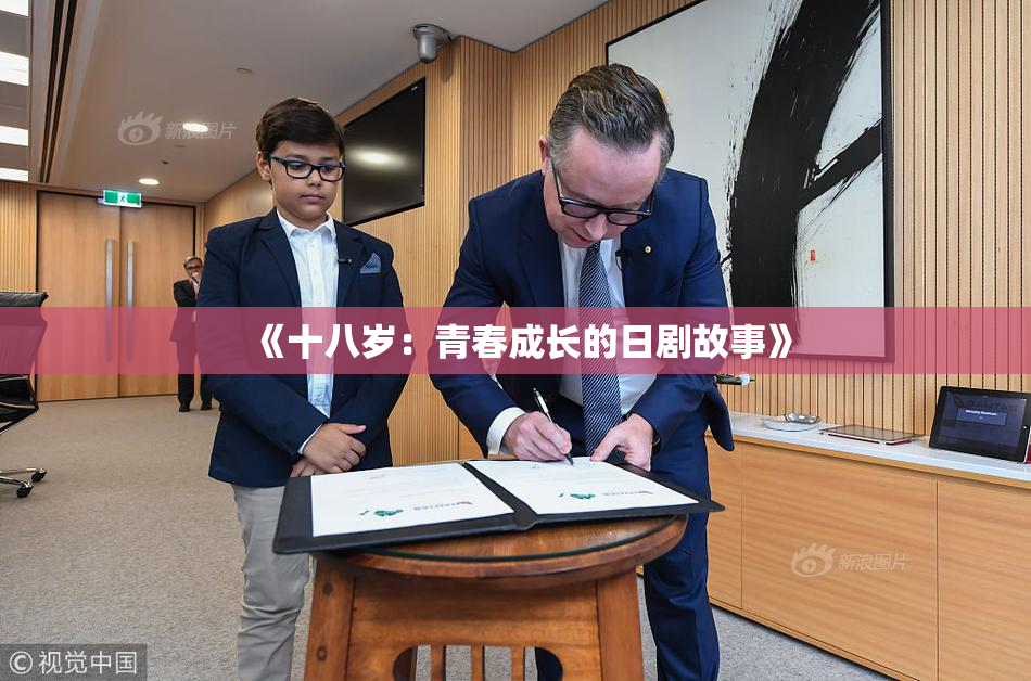 《十八岁：青春成长的日剧故事》