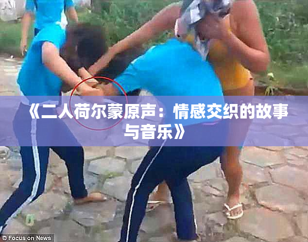 《二人荷尔蒙原声：情感交织的故事与音乐》