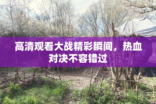 高清观看大战精彩瞬间，热血对决不容错过