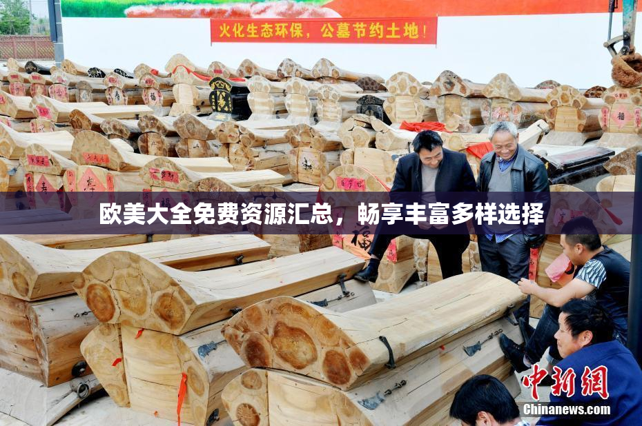 欧美大全免费资源汇总，畅享丰富多样选择