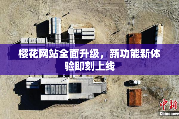 樱花网站全面升级，新功能新体验即刻上线
