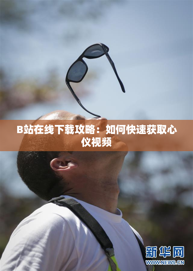 B站在线下载攻略：如何快速获取心仪视频